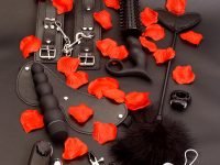 Toyjoy Lovetoy Starter Kit Eğlence Seti