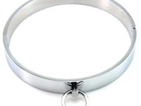 Paslanmaz Çelik Boyun Tasması