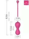 Magic Motion Kegel Master Gen 2 Telefon Kontrollü Kegel Egzersiz-14133