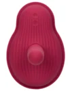 CalExotics Dual Rider Remote Control Thrust & Grind İtme Hareketli Vibratör - Görsel 7